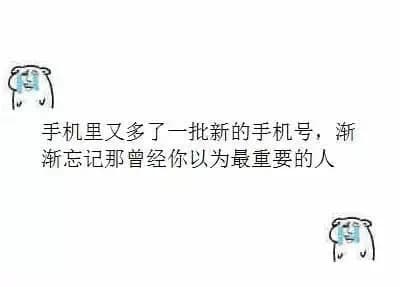 手机里又多了一批新的手机号，渐渐忘记那曾经你以为重要的人