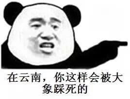 在云南，你这样会被大象踩死的