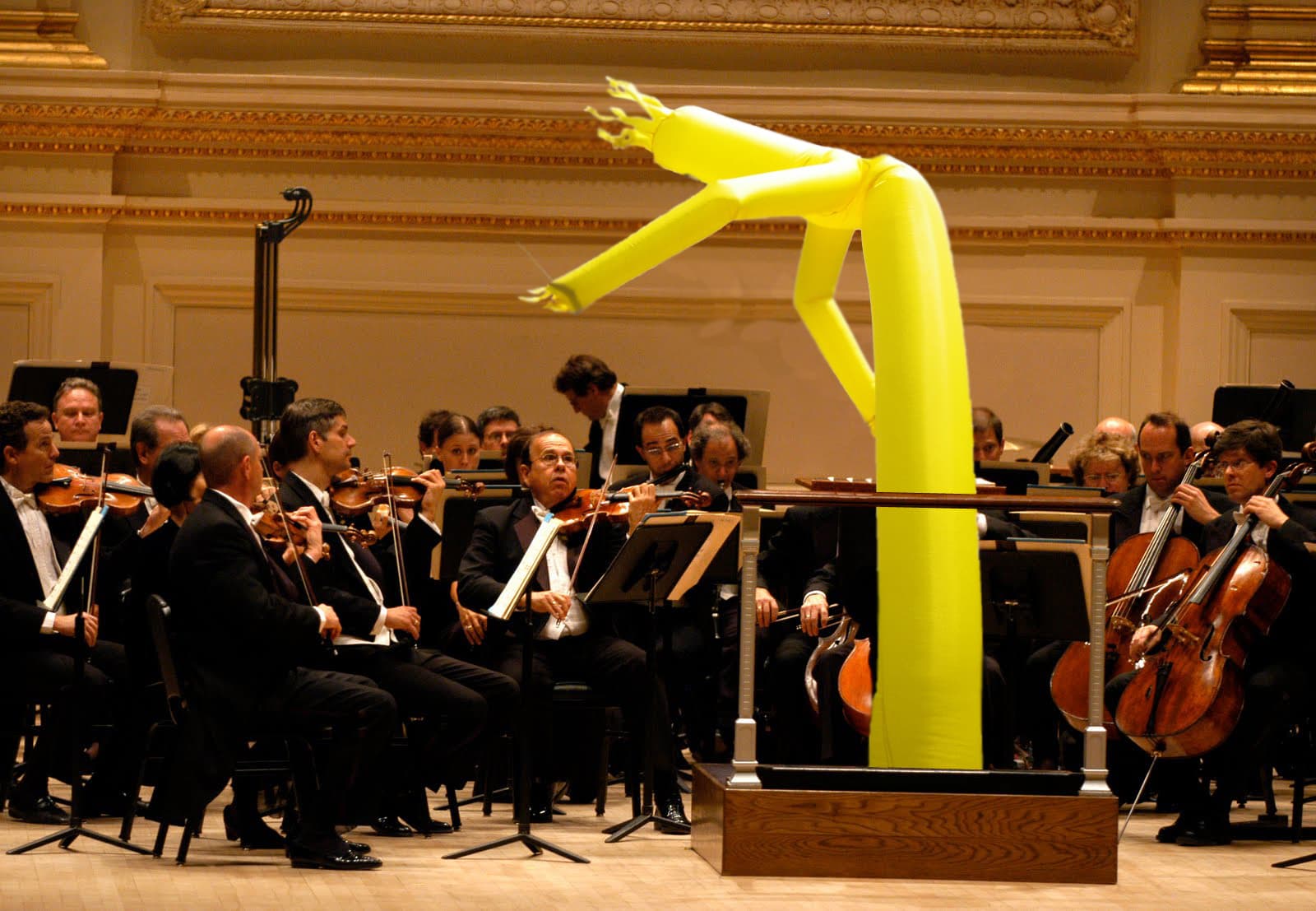 Orchestra conductor