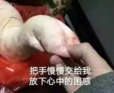 把手慢慢交给我，放下心中的困惑