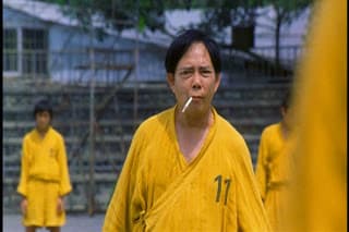 Shaolin Soccer Smoker
