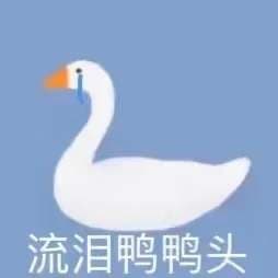 流泪鸭鸭头