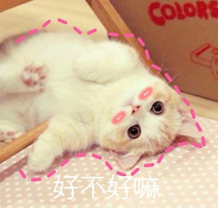 好不好嘛