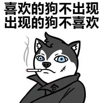 喜欢的狗不出现，出现的狗不喜欢