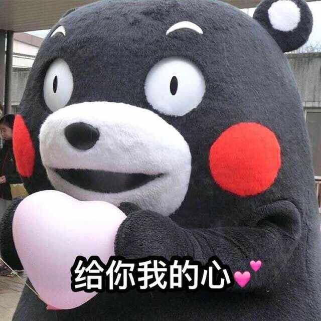 给你我的心（熊本熊）(www.doutupk.com)