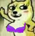 紫色