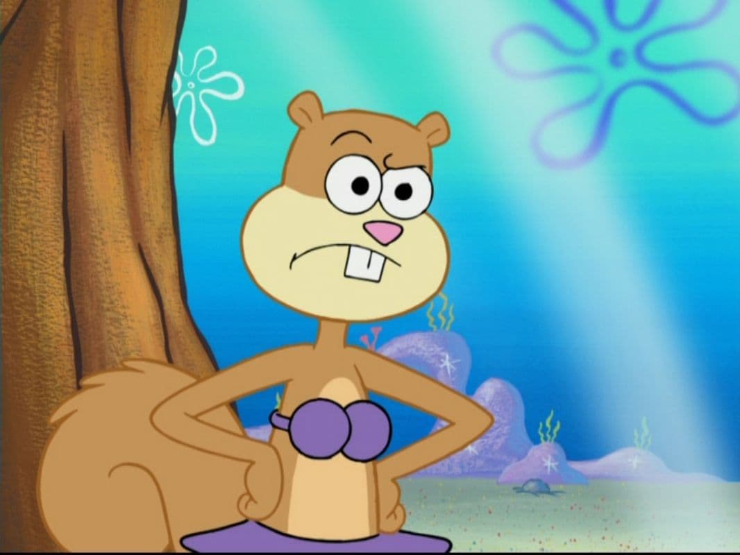 Sandy Cheeks Suspicious