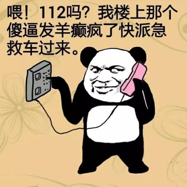 喂！120吗？我楼上那个傻逼发羊癫疯了快派急救车过来。
