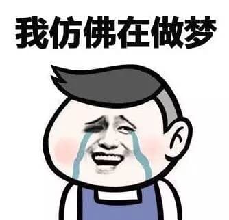 我仿佛在做梦
