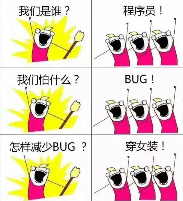 我们是谁？程序员！我们怕什么？bug！怎么减少bug？穿女装！