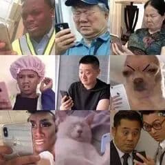 吃瓜表情包大合集！（汤姆/唐僧/猴哥吃瓜/动物/武林外传/家有儿女/大爷大妈吃瓜）