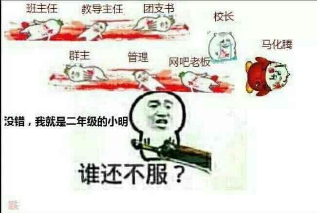 没错，我就是二年级的小明，谁还不服？