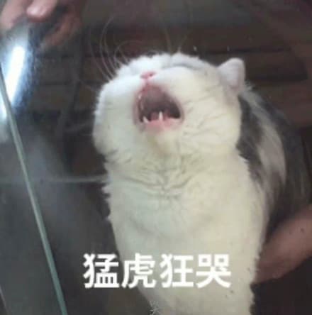 猛虎狂哭