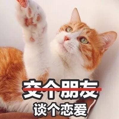 多个友谈个恋爱