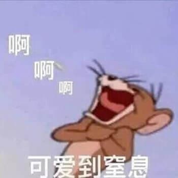 猫和老鼠00014-可爱到窒息