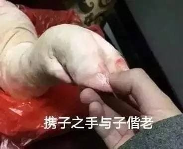 携子之手与子偕老