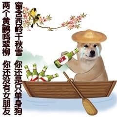 两个黄鹂鸣翠柳，你还没有女朋友