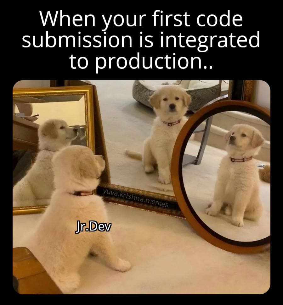 Future Senior Dev