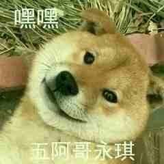 柴犬斗图表情包