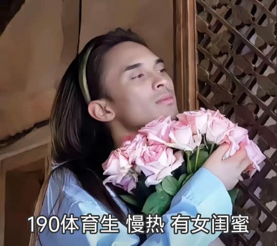 散帅梗图表情包