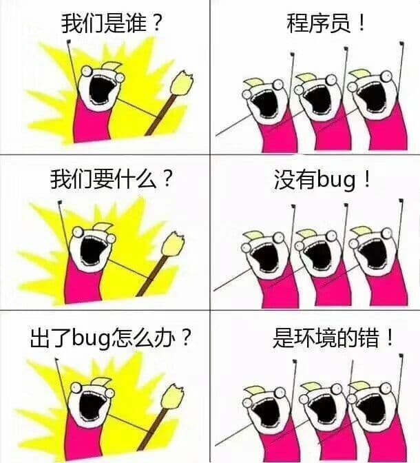 我们是谁？程序员！我们要什么？没有bug！出了bug怎么办？是环境的错！
