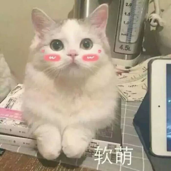 软萌