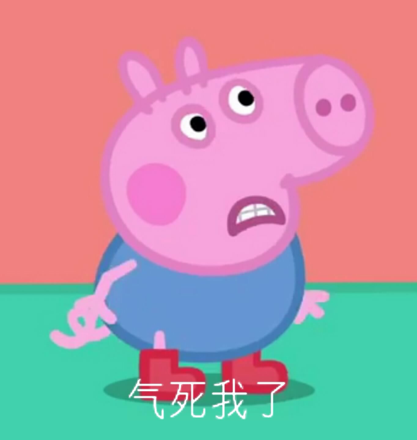 气死我了