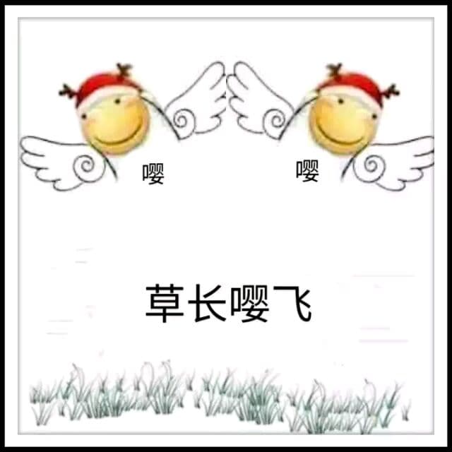 草长嘤飞(滑稽嘤)