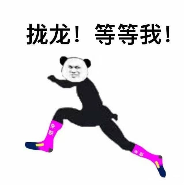 拢龙！等等我！