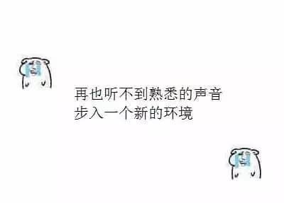再也听不到熟悉的声音 步入一个新的环境