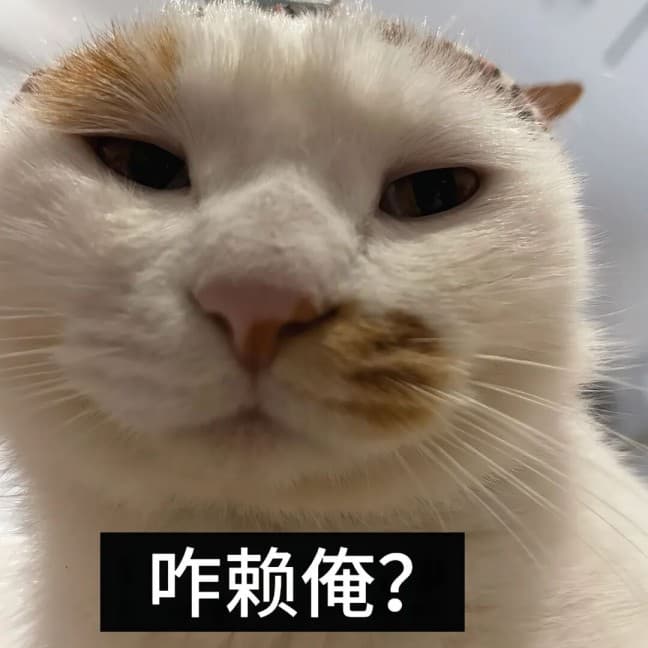 发福了呀腊八蒜小猫表情包
