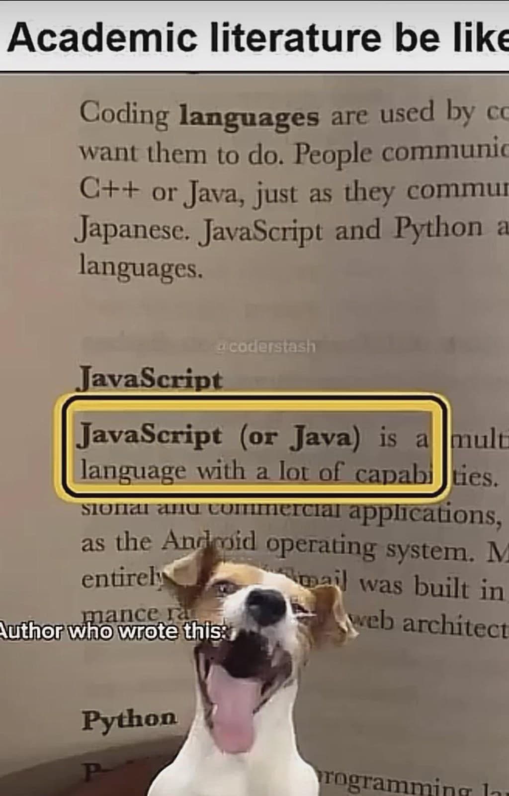 Java Is Javascript