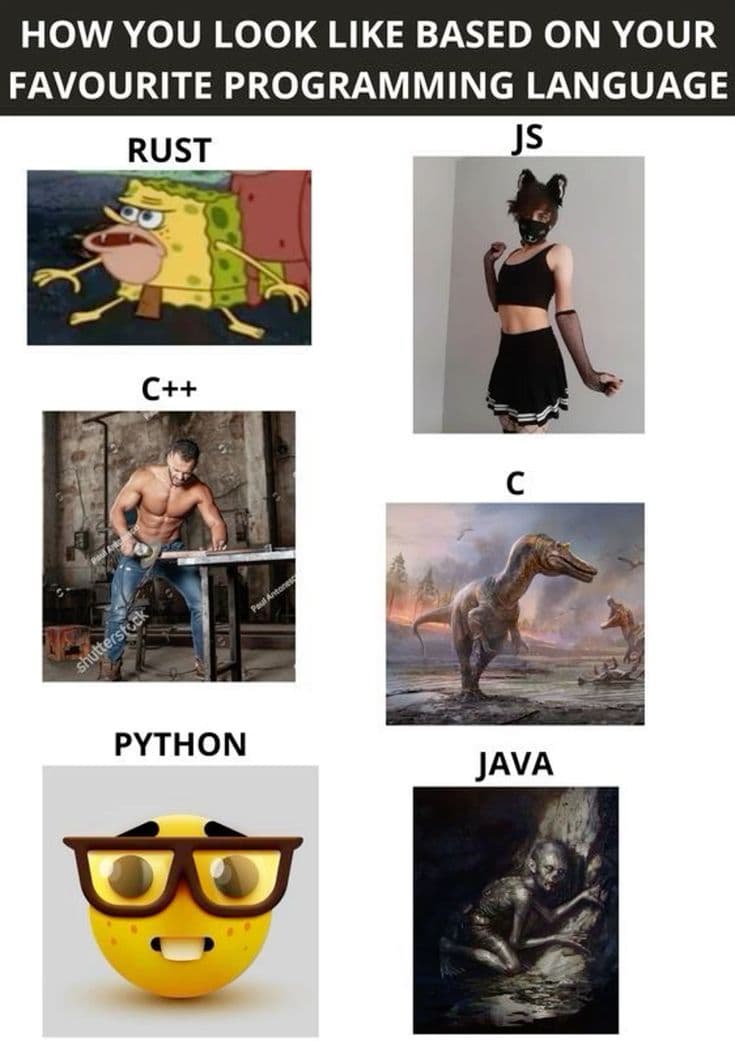 How You Look Like Based On Your Favourite Programming Language