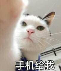 手机给我