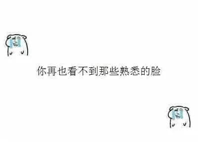 小熊表情包