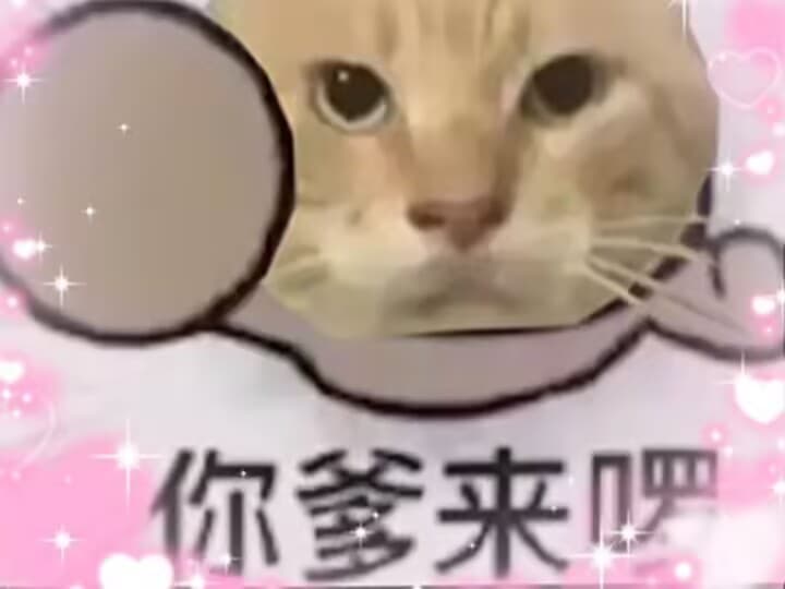 无名哈基米
