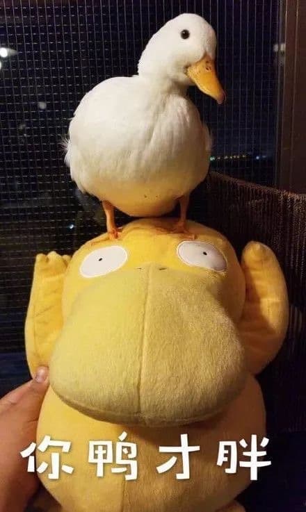 你鸭才胖