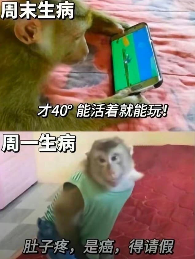 吗喽打工表情包