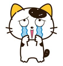 猫猫哭了