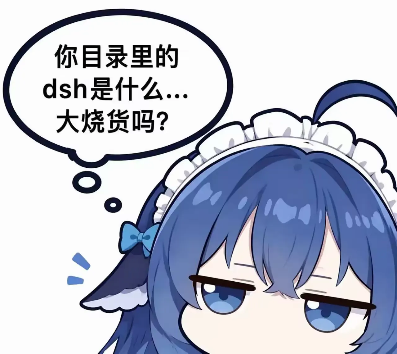 你目录里的dsh是什么