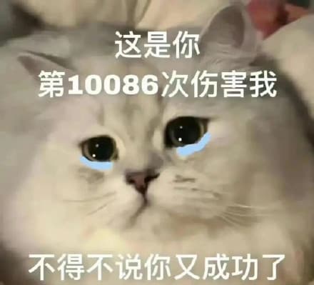 这是你第10086次伤害我不得不说你又成功了