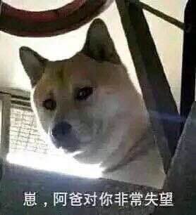 崽，阿爸对你非常失望