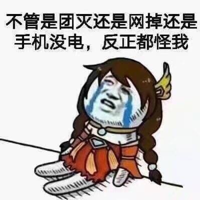 不管是团灭还是网掉还是手机没电，反正都怪我