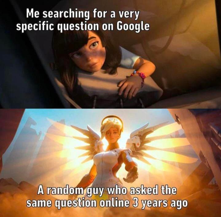 The Guardian Angels Of Stack Overflow