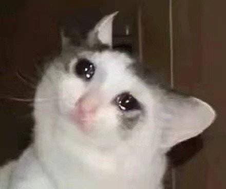 流泪猫猫头