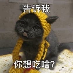 告诉我你想吃啥?