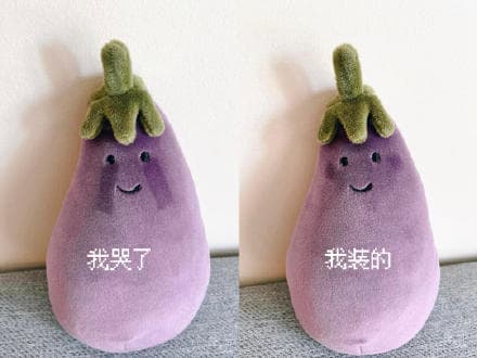 我哭了 我装的