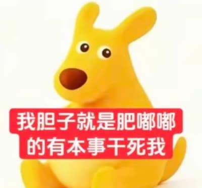 美团袋鼠你胆子真是肥嘟嘟的表情包，我胆子就是肥嘟嘟的，有本事干S我~