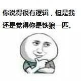 你说得很有逻辑，但是我还是觉得你是铁狼一匹