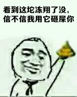 看到这坨冻翔了没？信不信我用它砸屎你